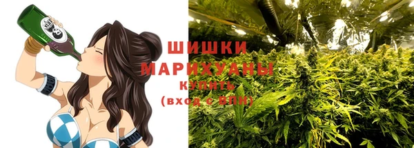 гашик Покров