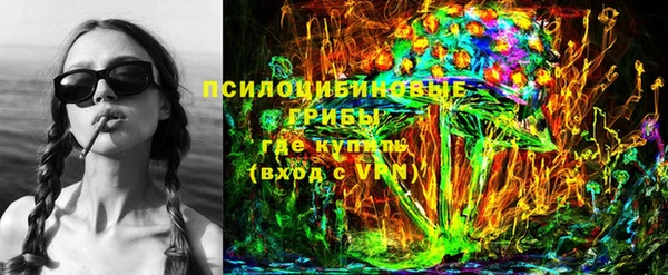 гашик Покров